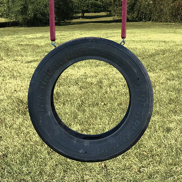 2-Rope Tire Swing